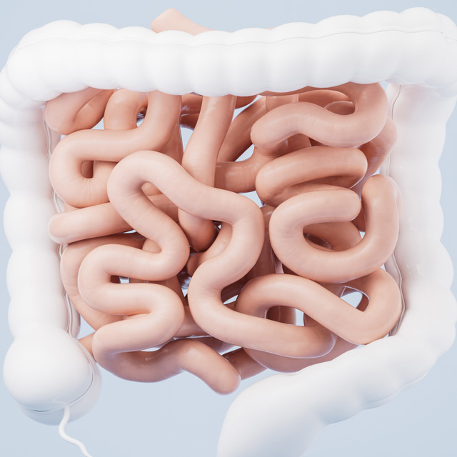 intestinal-tract-with-digestive-health-concept-3d-rendering